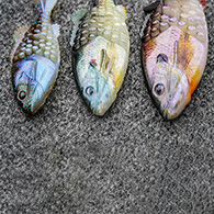Berkley Gilly Fishing Bait